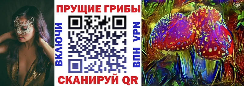 Псилоцибиновые грибы MAGIC MUSHROOMS  продажа наркотиков  Сыктывкар 